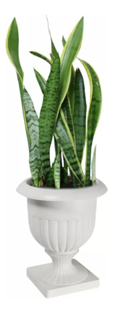 Vaso Decoração Cachepô Taça Alta Estilo Grego Branco 2uni