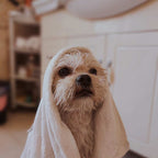 Jogo De Toalhas Banho Rosto Piso Teka Profiline 5 Pçs Branca